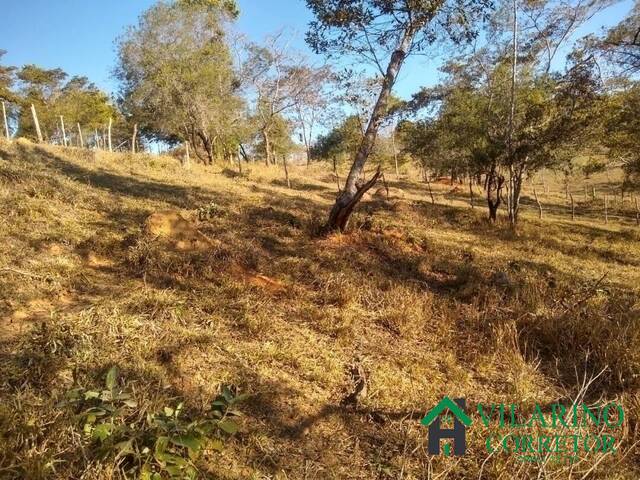 #3020 - Sítio para Venda em Bom Jesus do Amparo - MG - 3