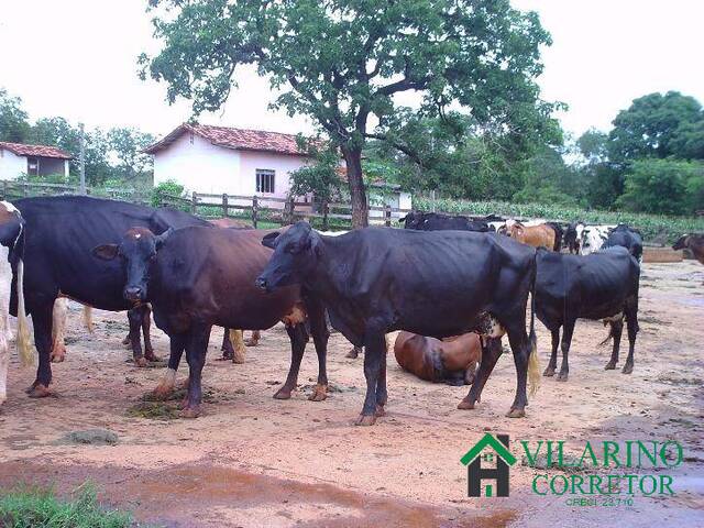 Fazenda para Venda em Caetanópolis - 4