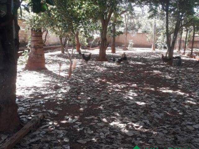 Lote para Venda em Felixlândia - 4