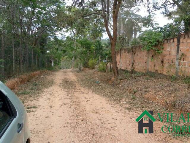 #3805 - Sítio para Venda em Taquaraçu de Minas - MG - 3