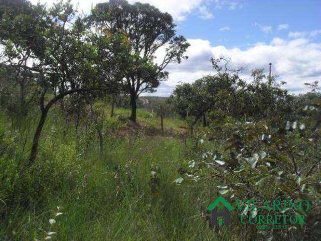 #3817 - Terreno para Venda em Sabará - MG - 3