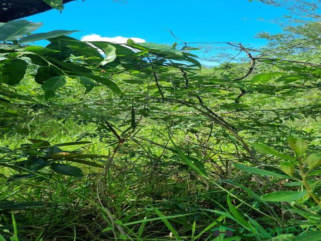 Lote para Venda em Esmeraldas - 5