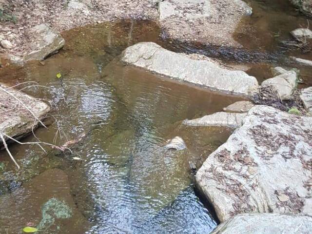 Sítio para Venda em Taquaraçu de Minas - 4