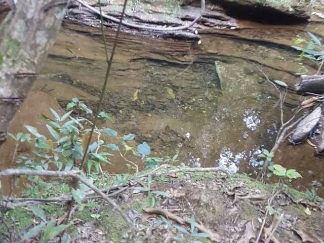 Sítio para Venda em Taquaraçu de Minas - 5