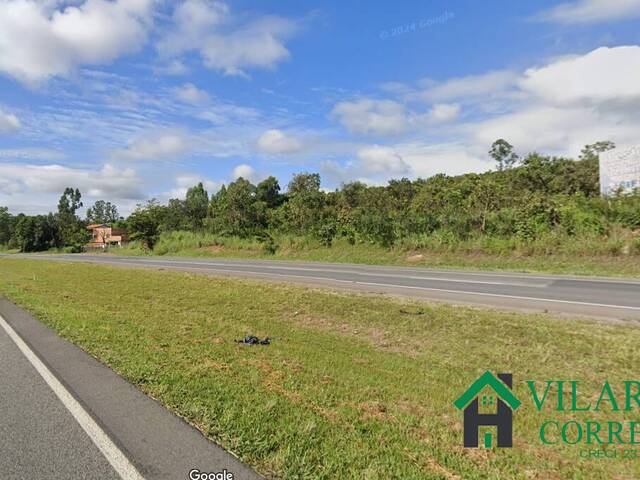 #4151 - Fazenda para Venda em Caetanópolis - MG - 1