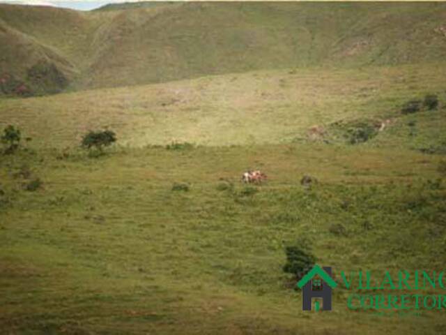Fazenda para Venda em Ouro Preto - 5