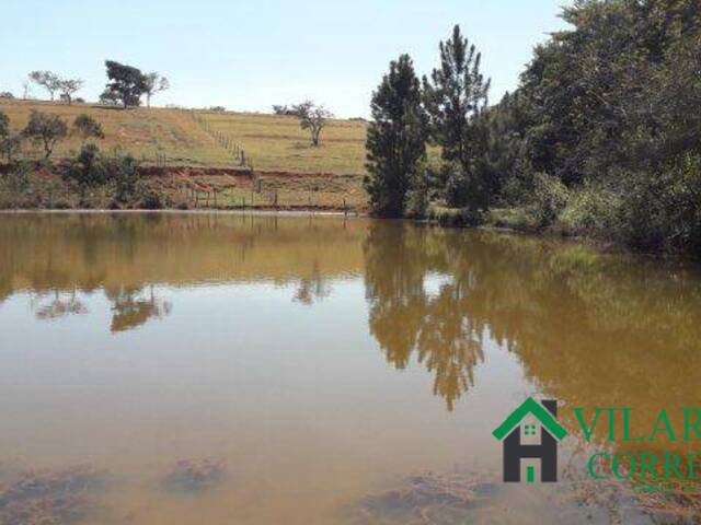 #4398 - Sítio para Venda em Mateus Leme - MG - 2
