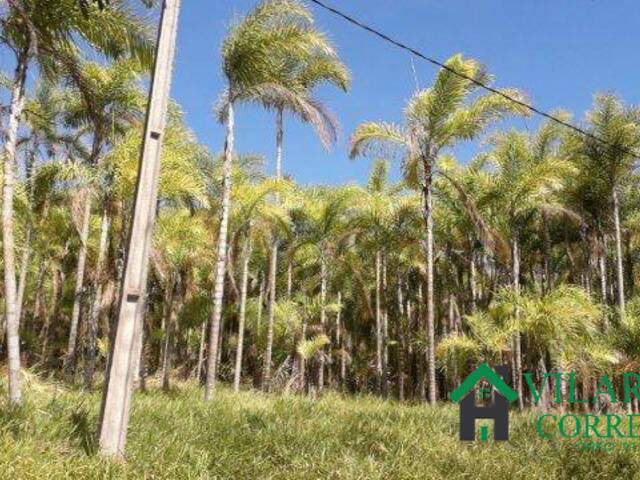 Sítio para Venda em Mateus Leme - 5