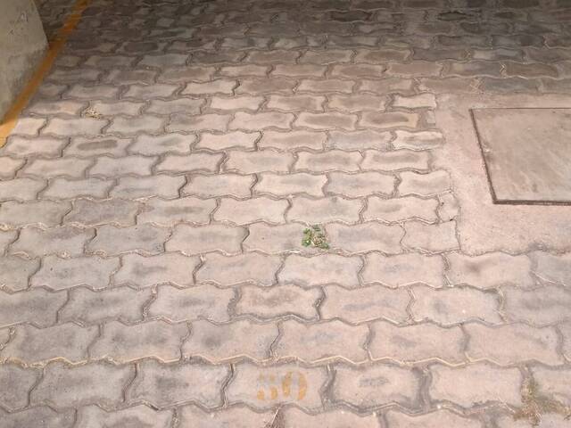 #4399 - Apartamento para Venda em Belo Horizonte - MG - 3