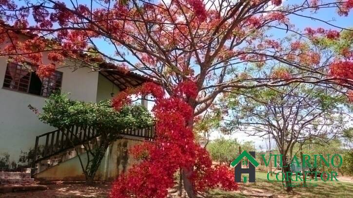 Sítio à venda com 3 quartos, 600m² - Foto 5