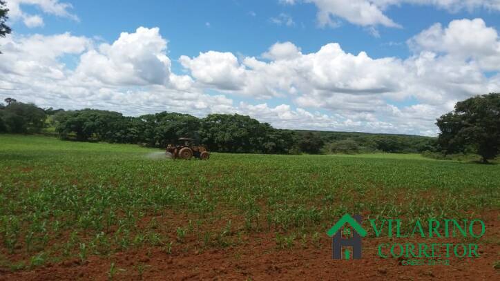Fazenda, 11 hectares - Foto 36