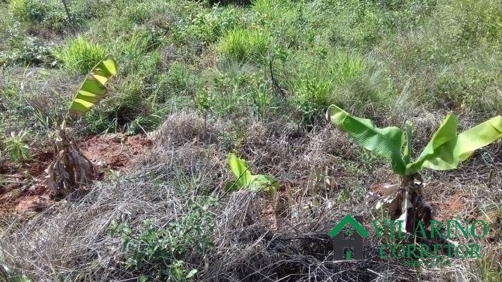 Terreno, 7500 m² - Foto 17