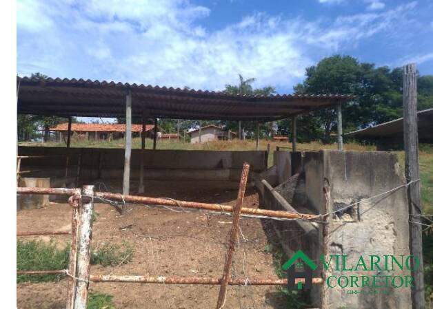Fazenda, 19 hectares - Foto 17