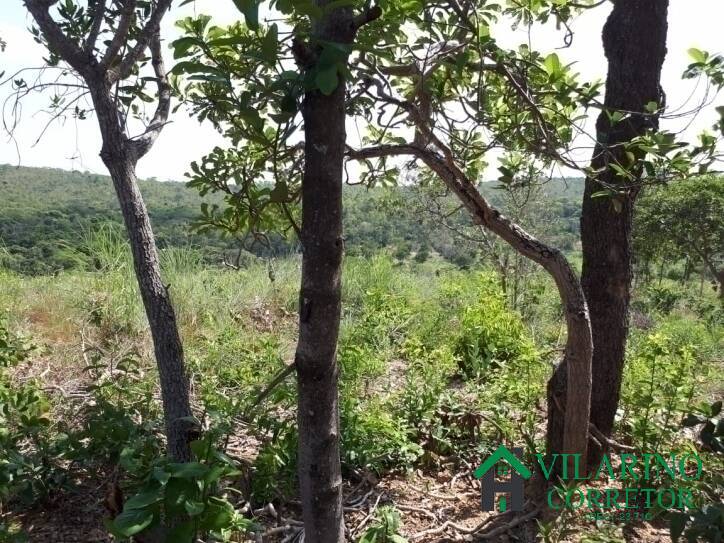 Terreno, 1000 m² - Foto 22