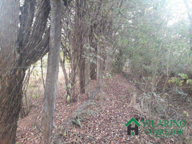 Terreno, 6222 m² - Foto 16