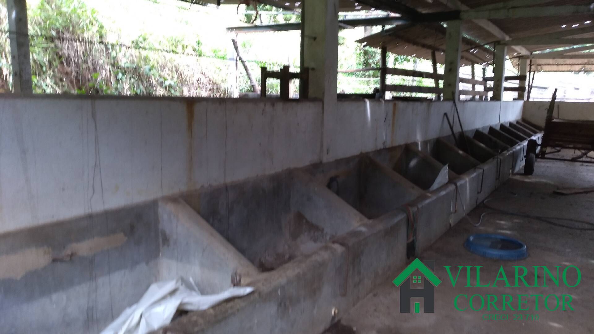 Fazenda, 16 hectares - Foto 31