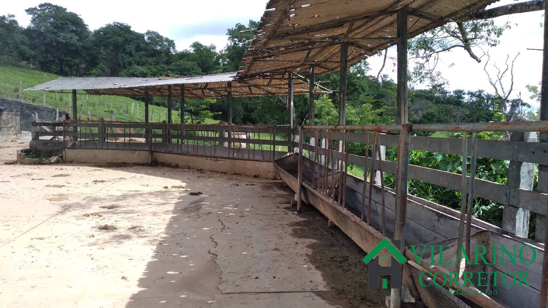 Fazenda, 16 hectares - Foto 32