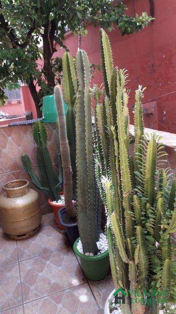 Casa, 5 quartos, 280 m² - Foto 20