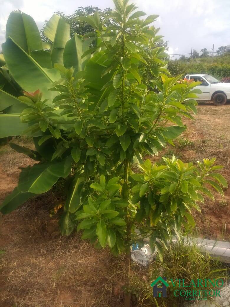 Terreno, 7500 m² - Foto 23