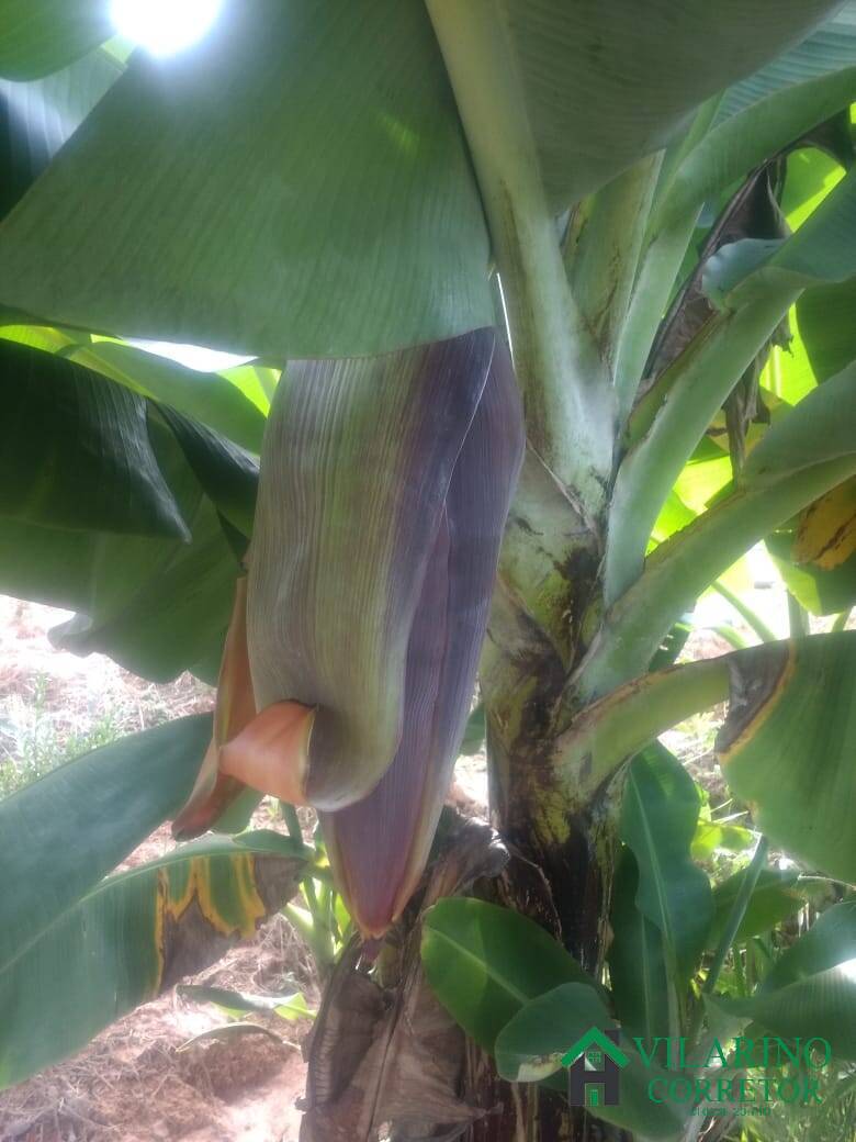 Terreno, 7500 m² - Foto 24