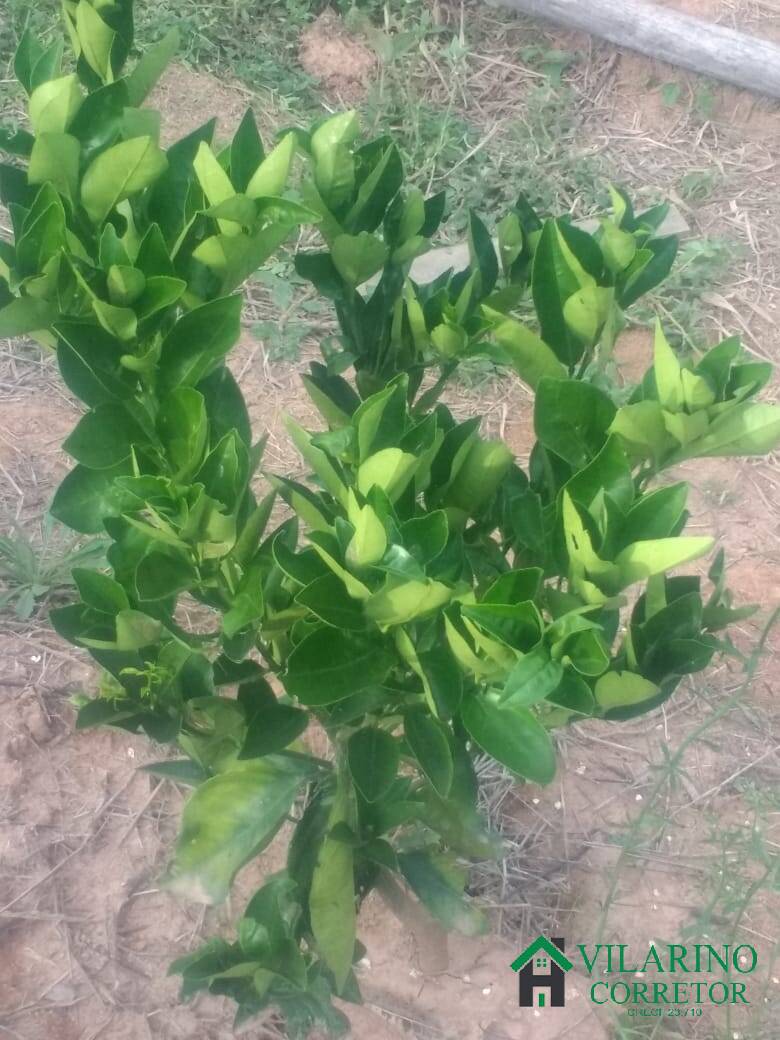 Terreno, 7500 m² - Foto 26