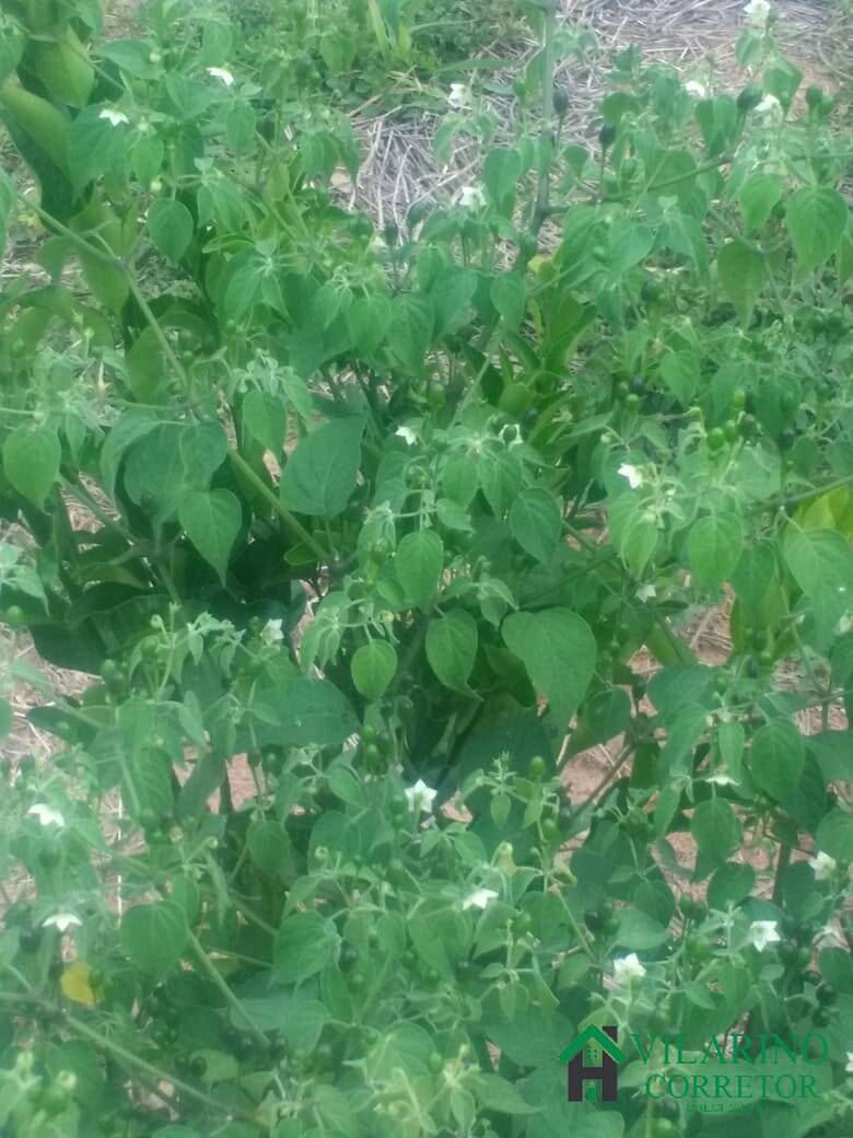 Terreno, 7500 m² - Foto 27