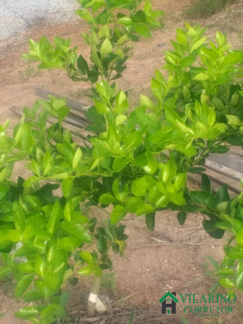 Terreno, 7500 m² - Foto 28