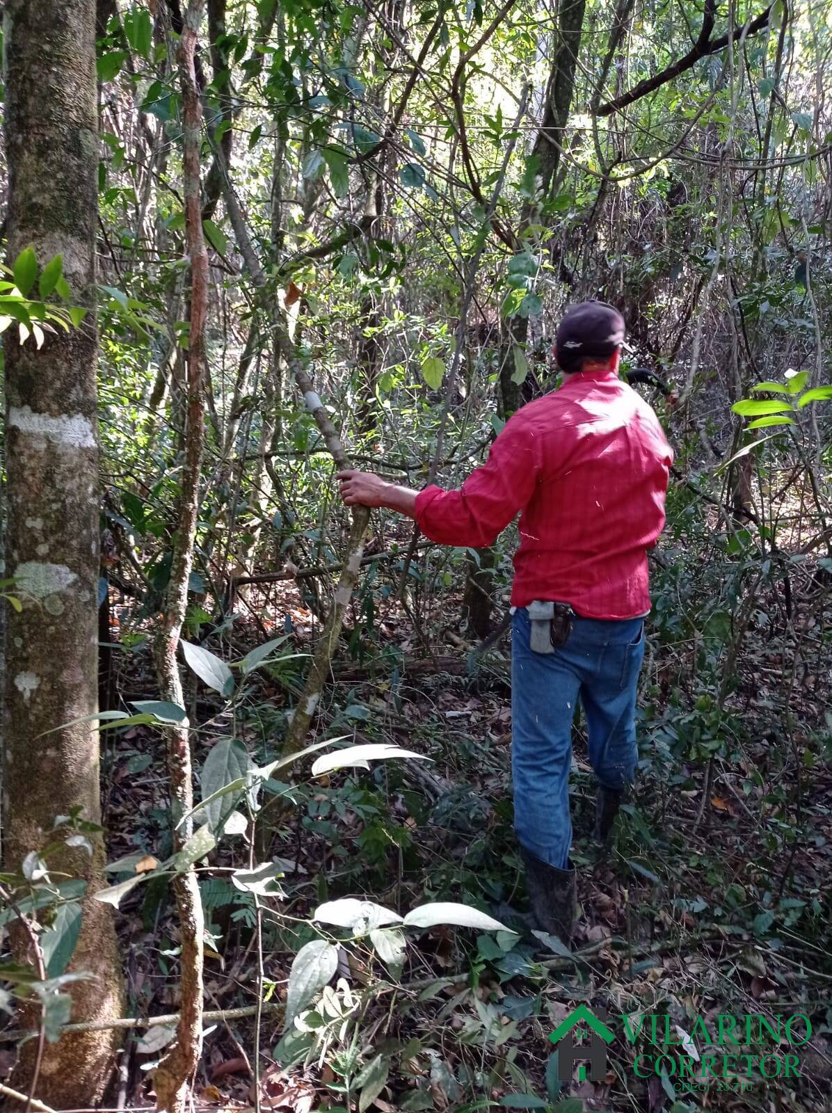 Terreno, 2280 m² - Foto 16