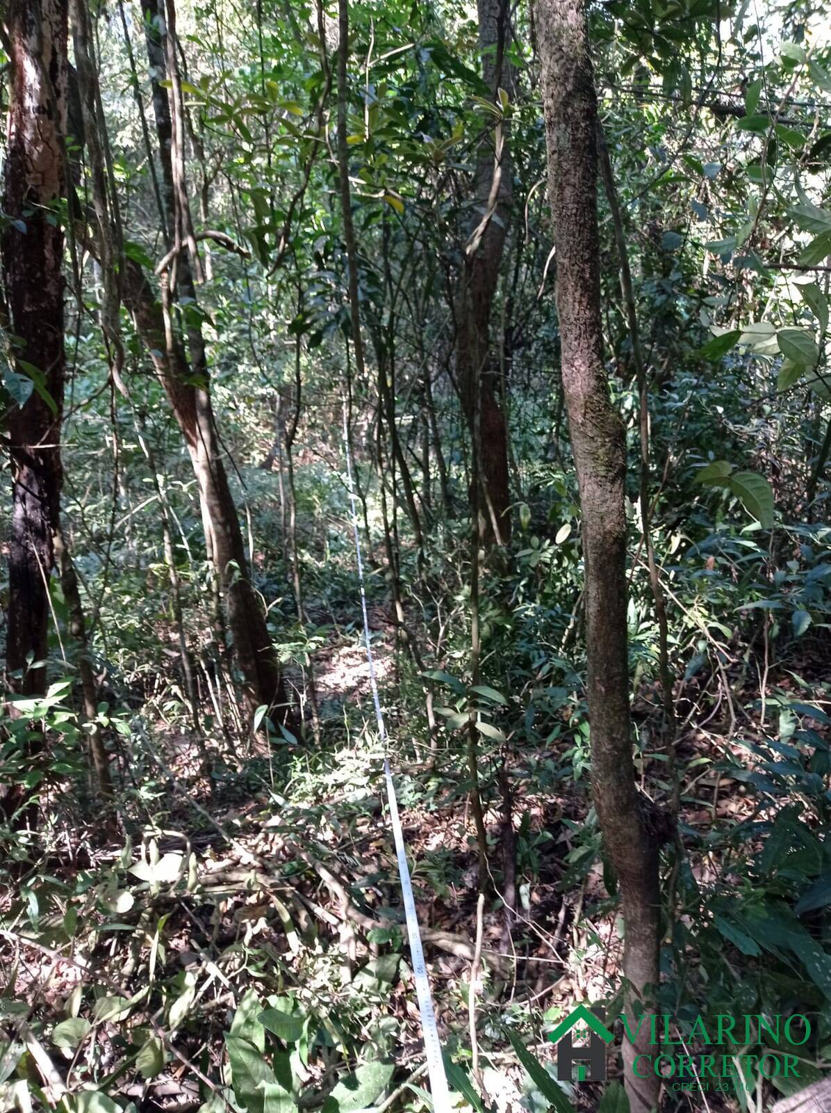 Terreno, 2280 m² - Foto 18