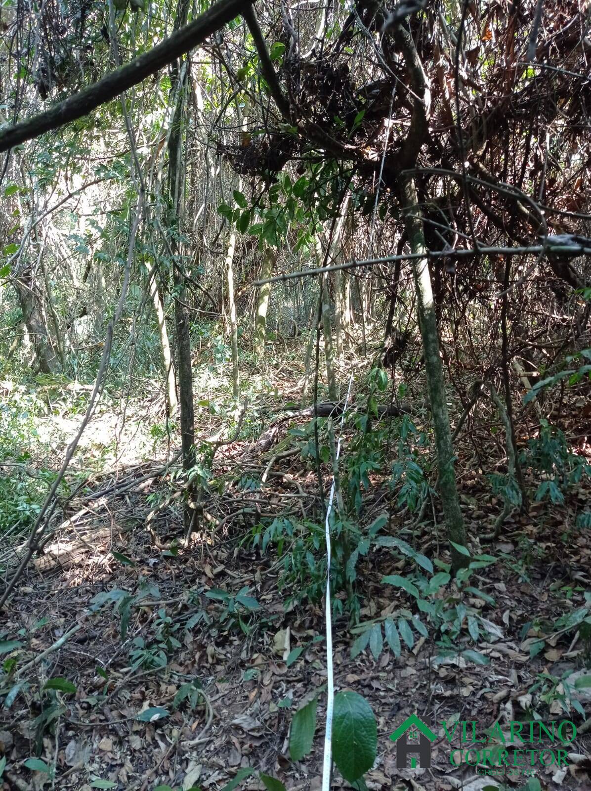 Terreno, 2280 m² - Foto 19