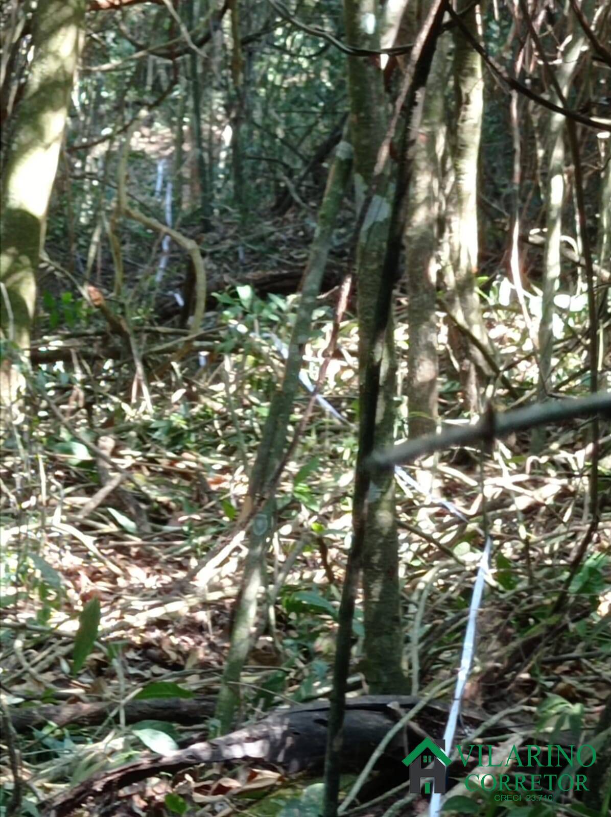 Terreno, 2280 m² - Foto 20