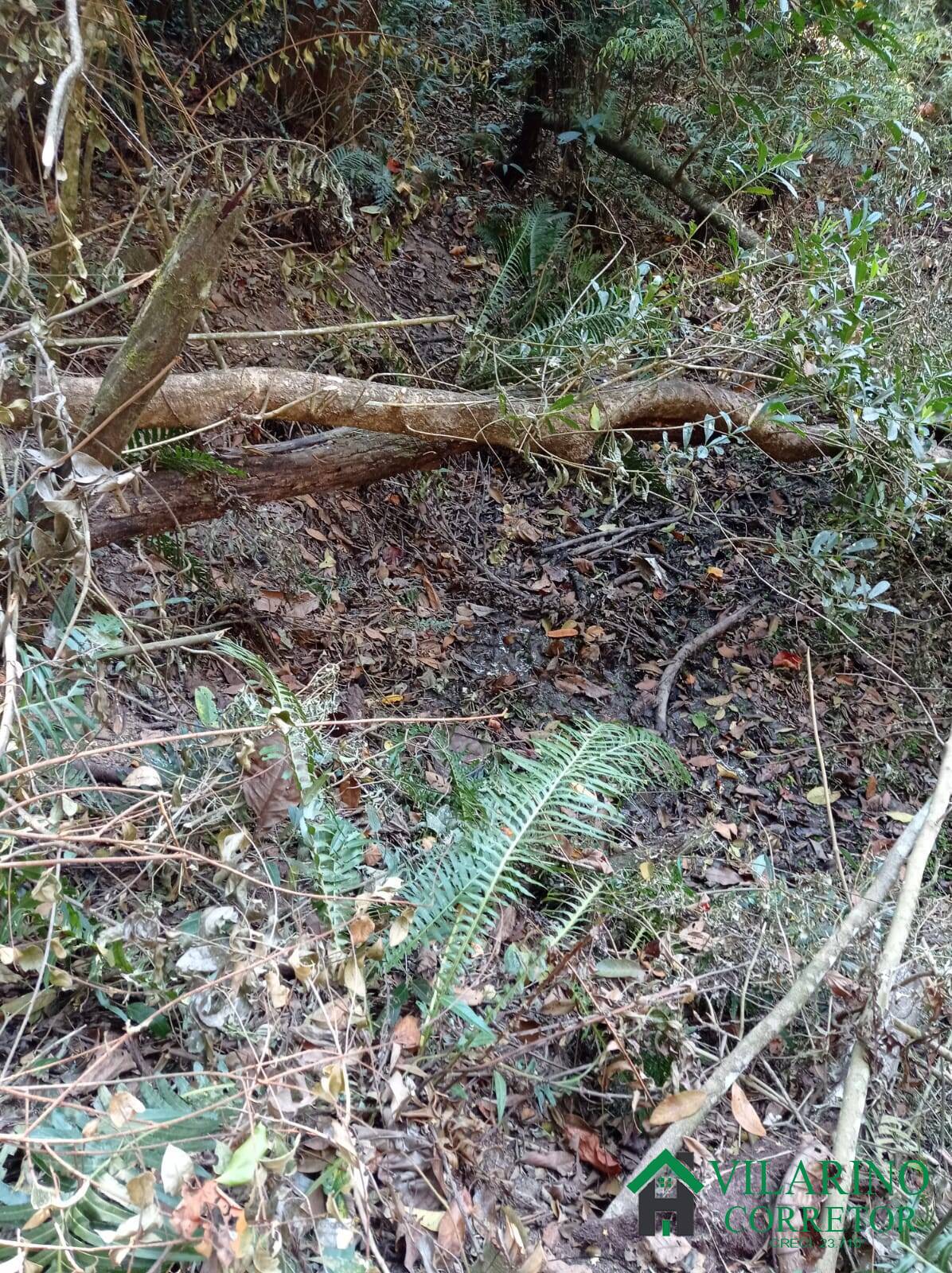 Terreno, 2280 m² - Foto 21