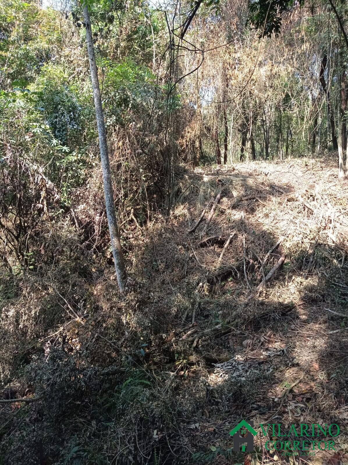 Terreno, 2280 m² - Foto 22