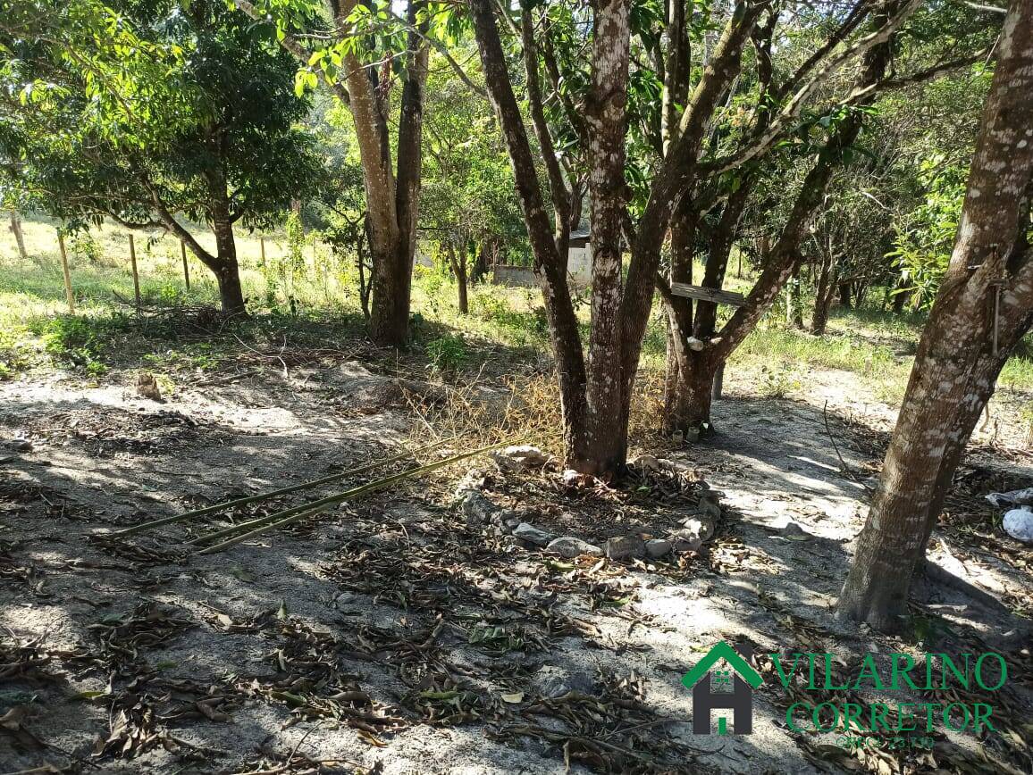 Sítio, 2 quartos, 5000 m² - Foto 23