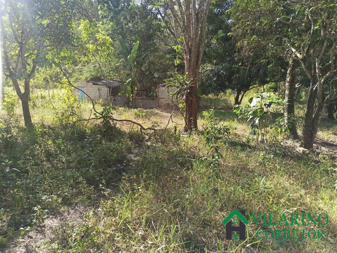 Sítio, 2 quartos, 5000 m² - Foto 26