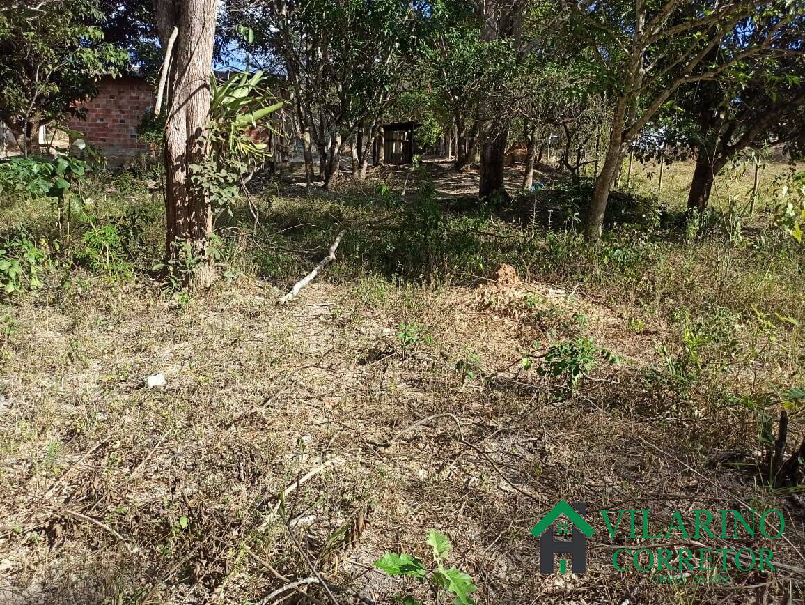 Sítio, 2 quartos, 5000 m² - Foto 25