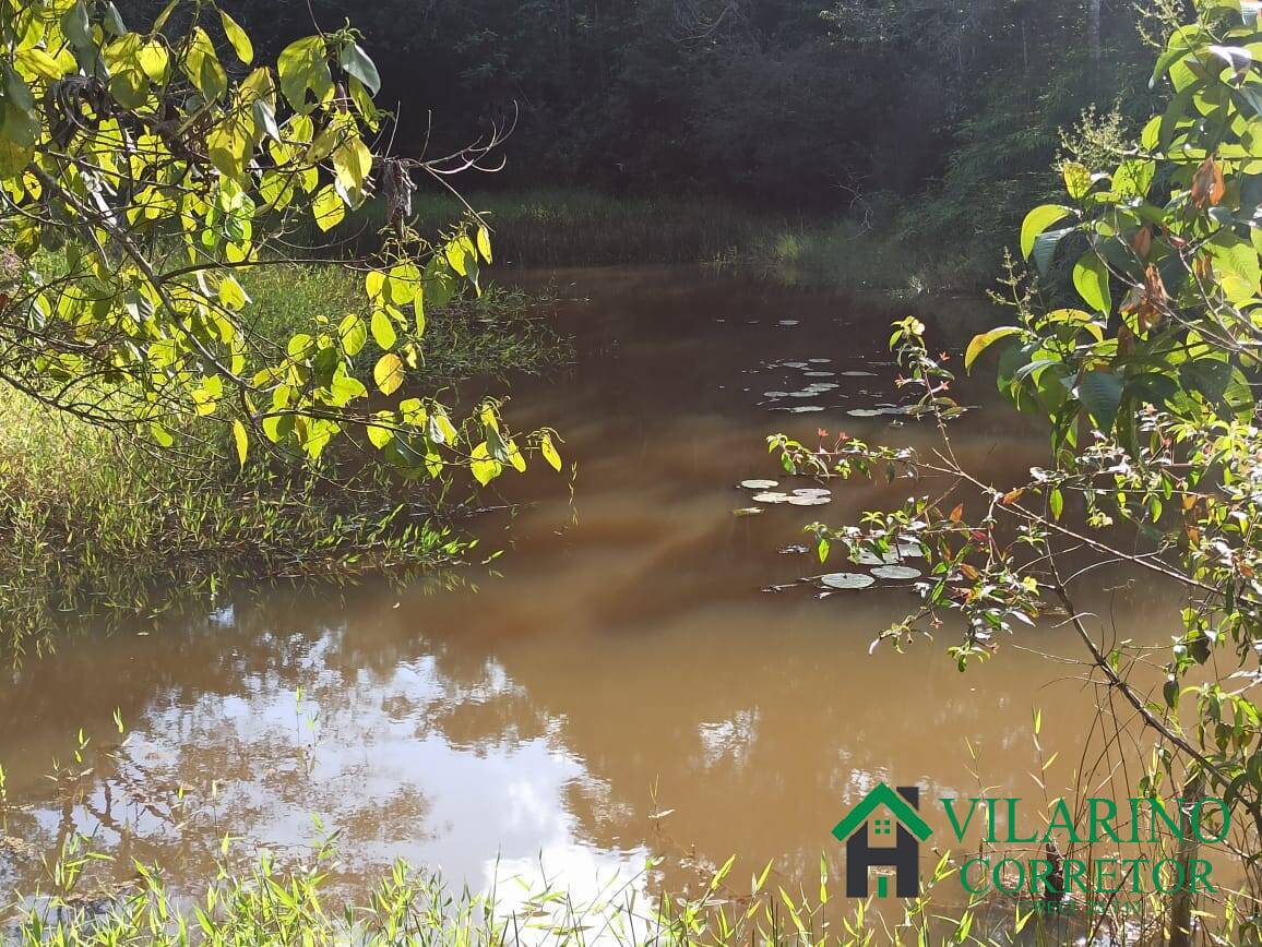 Sítio, 2 quartos, 5000 m² - Foto 32