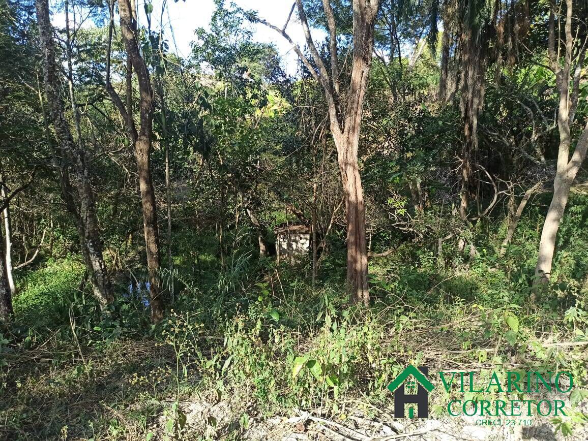 Sítio, 2 quartos, 5000 m² - Foto 31