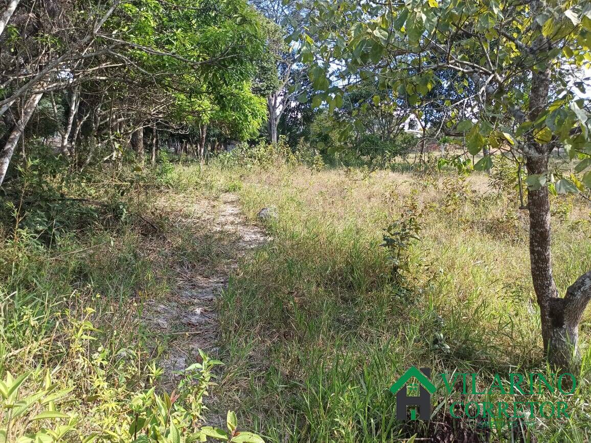 Sítio, 2 quartos, 5000 m² - Foto 33