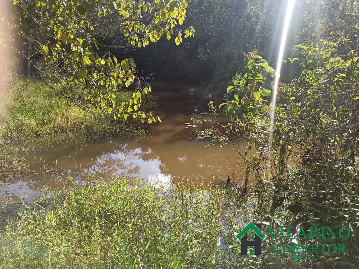 Sítio, 2 quartos, 5000 m² - Foto 37