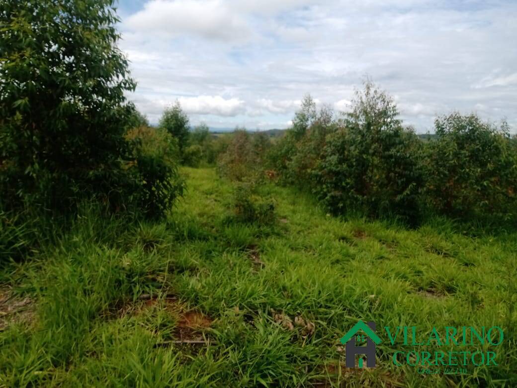 Fazenda, 38 m² - Foto 27