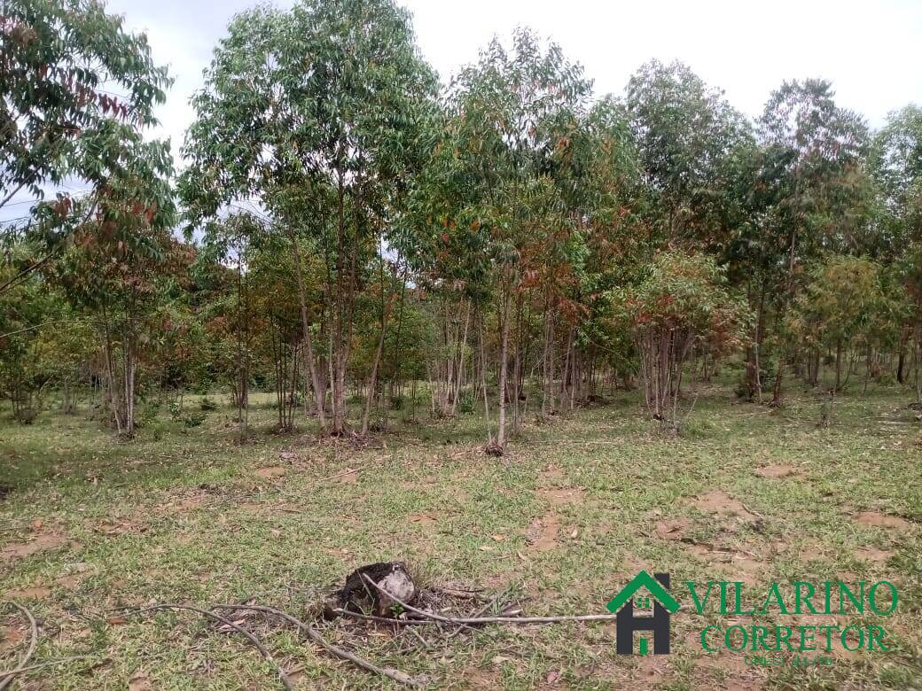 Fazenda, 38 m² - Foto 36