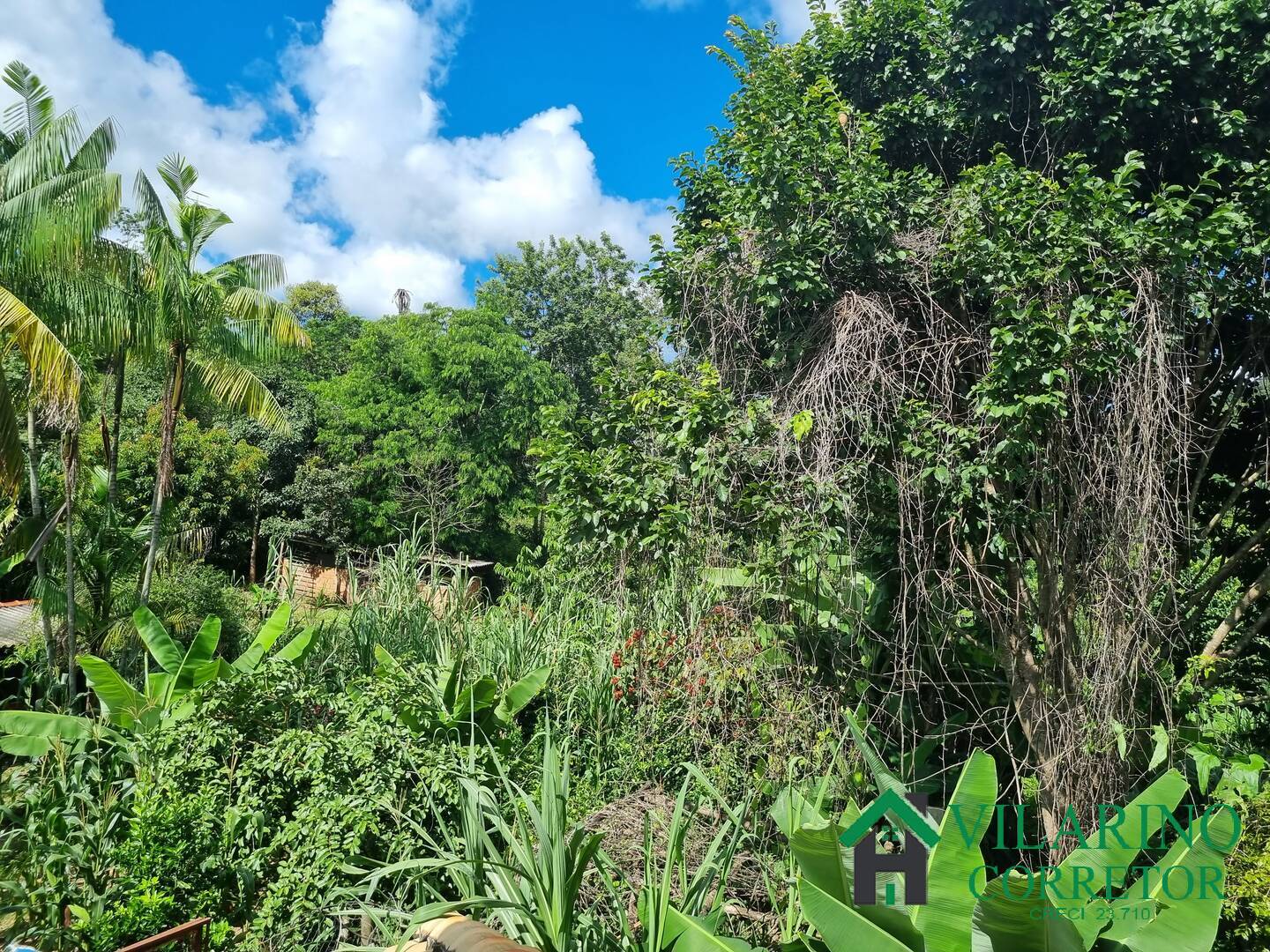 Sítio à venda com 3 quartos, 140m² - Foto 13