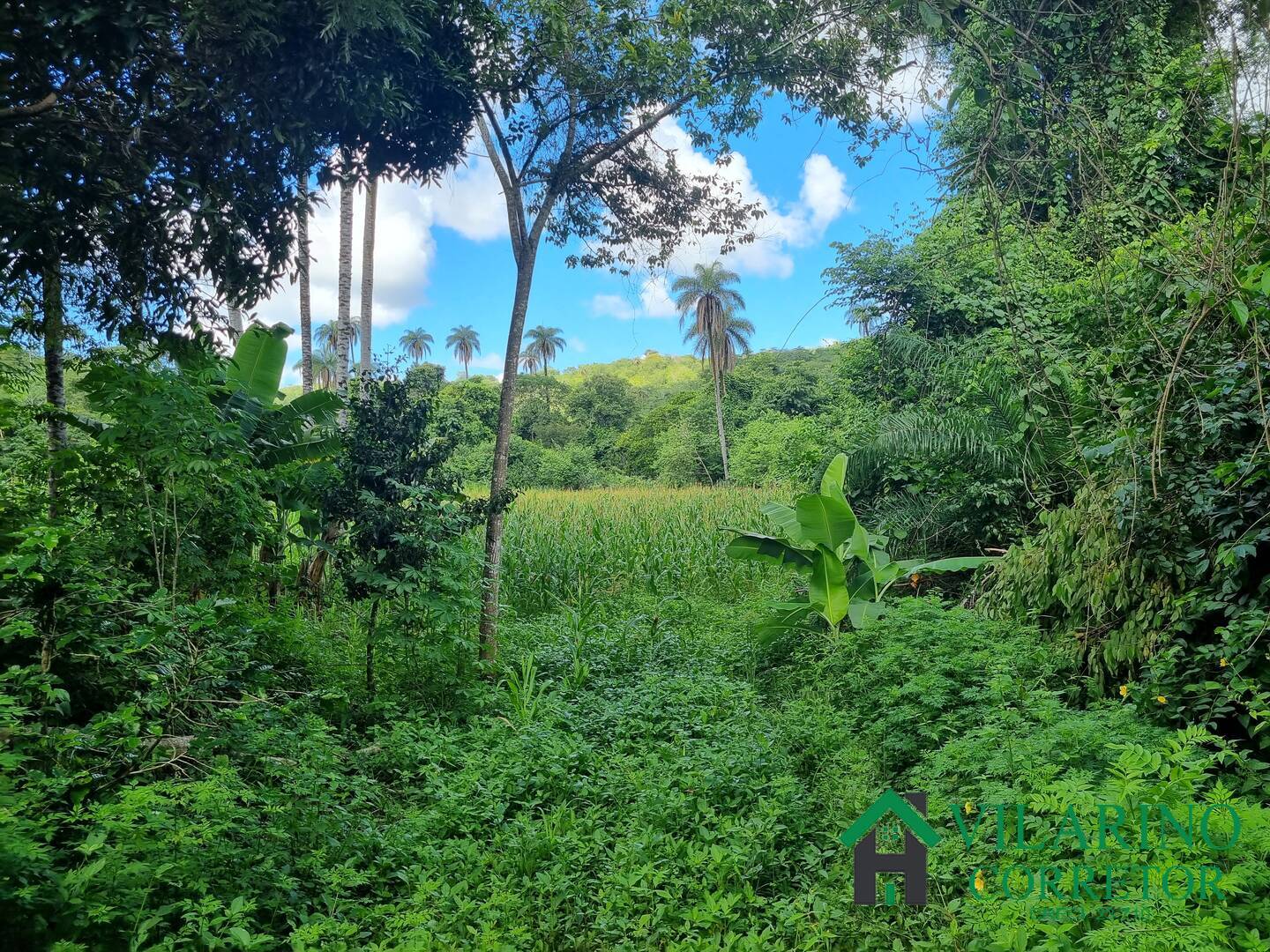 Sítio à venda com 3 quartos, 140m² - Foto 25