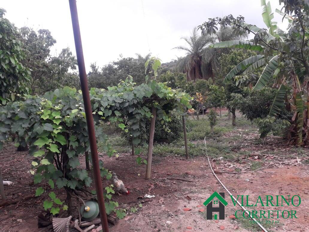 Sítio, 3 quartos, 25 hectares - Foto 19