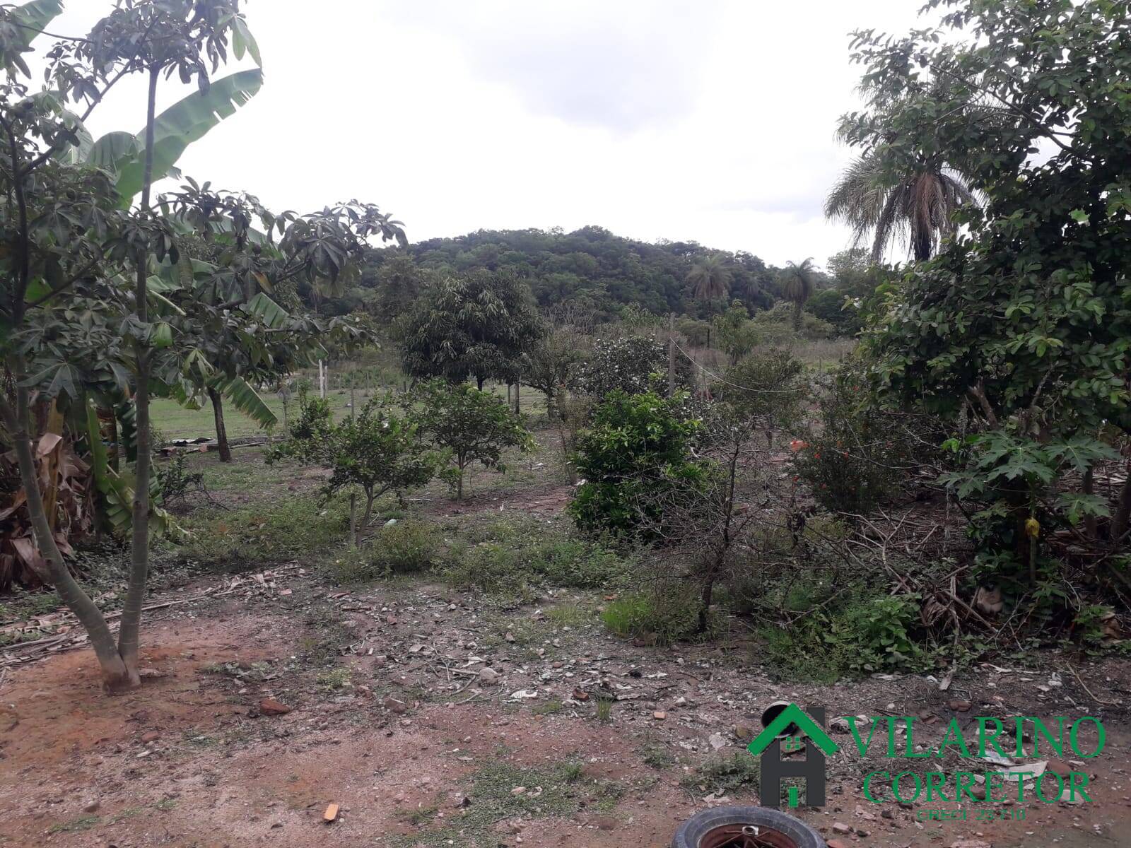 Sítio, 3 quartos, 25 hectares - Foto 20