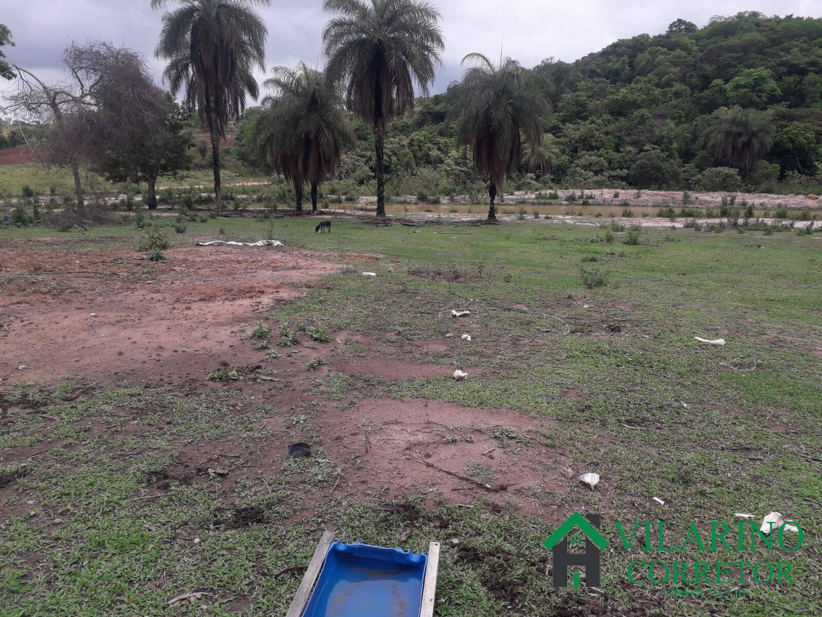 Sítio, 3 quartos, 25 hectares - Foto 24