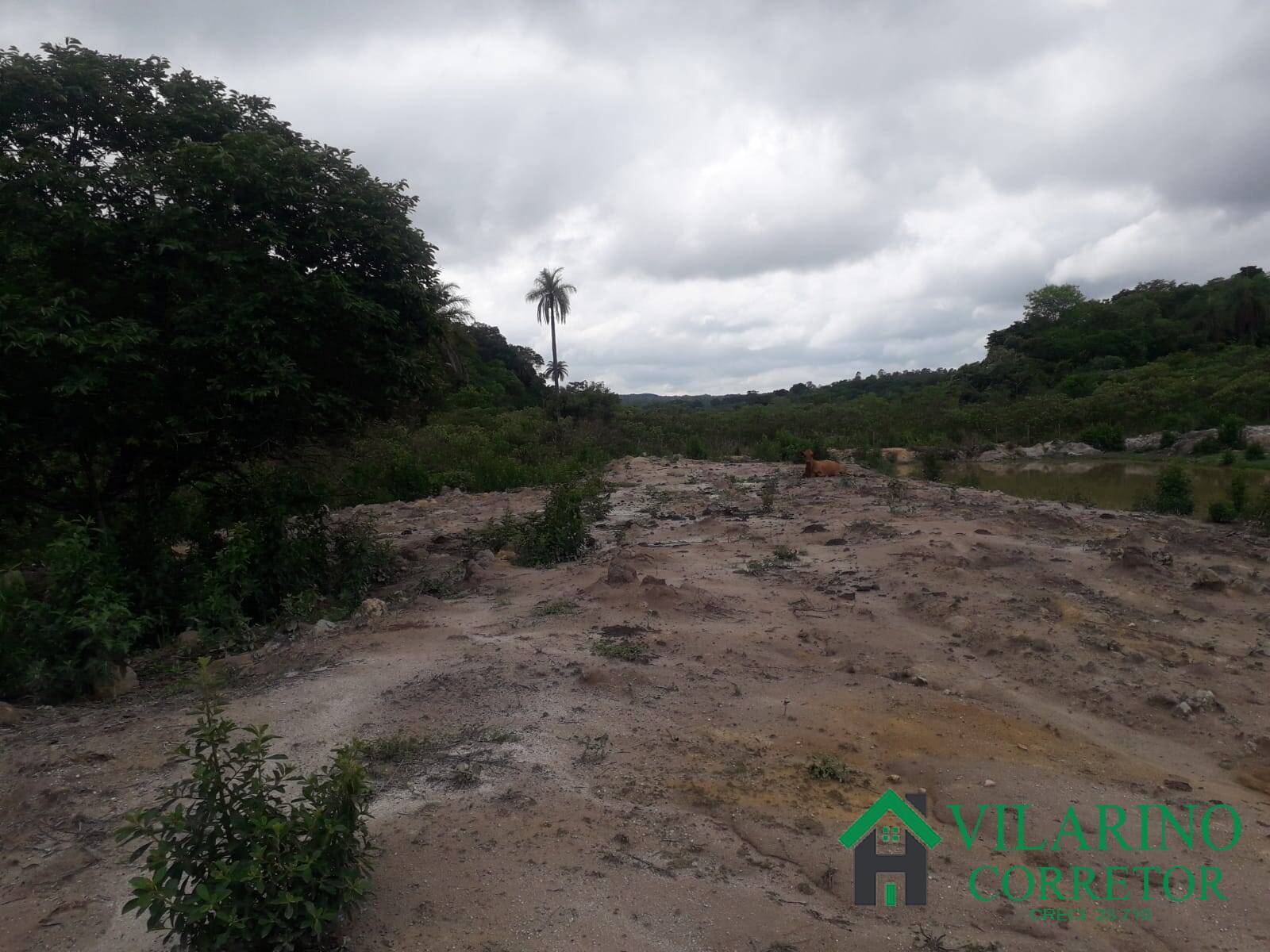 Sítio, 3 quartos, 25 hectares - Foto 30