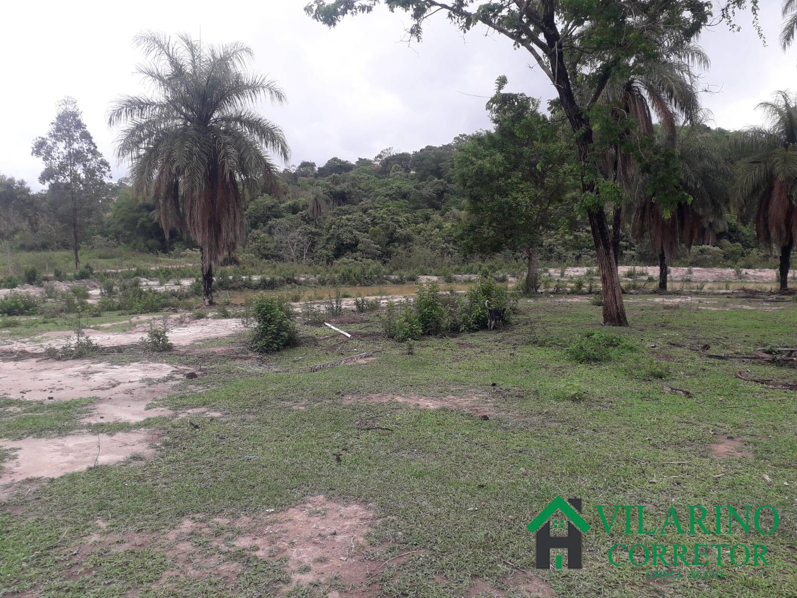 Sítio, 3 quartos, 25 hectares - Foto 39