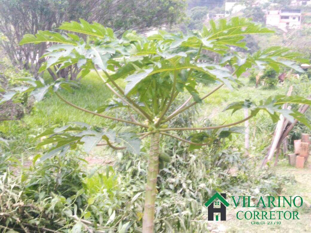 Terreno, 2631 m² - Foto 16